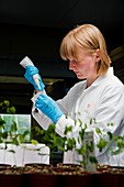 Seed bank technicians