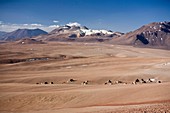 Chajnantor plateau,Chile