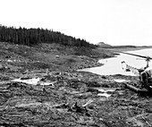 Damage from 1958 Lituya Bay tsunami