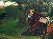 Isaac Newton,English mathematician
