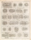 Faraday's magnetic field drawings,1852