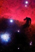 Horsehead Nebula,artwork
