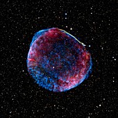 Supernova remnant SN1006,composite image