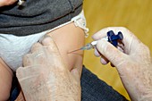 Inoculation with Prevenar vaccine