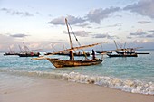 Traditional dhows,Zanzibar