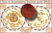 Genome map of Yersinia pestis bacteria