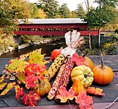 Autumn crops and covered bridge