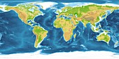 World land and sea floor topography