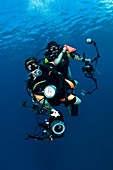 Underwater photographers