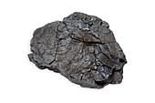 Lignite Coal specimen