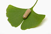 Ginkgo leaf and capsule