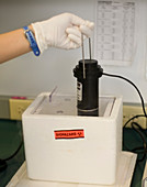 In vitro fertilization laboratory