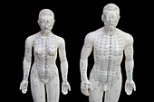 Human model showing acupuncture points