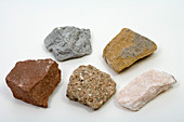Variety of Sedimentary Rocks