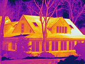 Thermogram,Home cold day,temp variation
