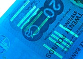 Twenty pound Scottish banknote in UV