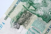South African banknote