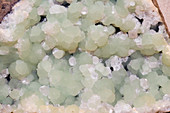 Prehnite crystals,New Jersey