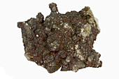 Chalcopyrite and Bornite,Peru