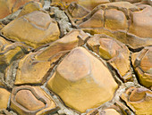 Septarian concretions with calcite