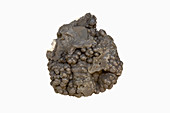 Psilomelane,an ore of Manganese,Georgia