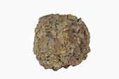 Patronite,an ore of Vanadium