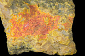 Orpiment (Yellow) and Realgar (Red)