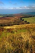 Exmoor,Devon