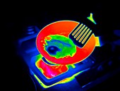 Frying an egg,thermogram