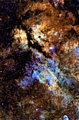 Butterfly nebula (IC 1318)