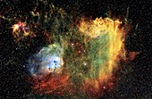 Flaming star and tadpole nebulae