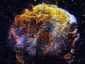 Jellyfish nebula