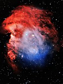 Open cluster NGC 2175