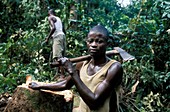 Congo woodcutter