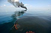 Gulf of Mexico oil spill response,2010