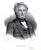 Michel Eugene Chevreul,French chemist