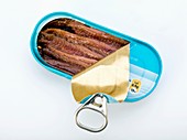 Open tin of anchovy fillets