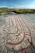 Bronze Age Petroglyph