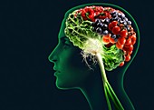 Brain food,conceptual image