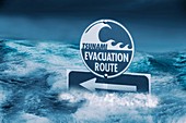 Tsunami Evacuation Route sign