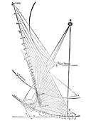 Kepler's plot of Halley's Comet,1607