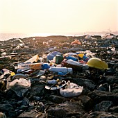 Washed-up rubbish