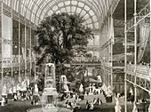 The Great Exhibition of 1851,Hyde Park