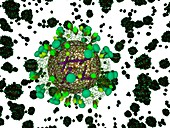 Flu virus particles,artwork