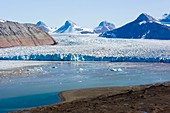 Kongsvegen glacier