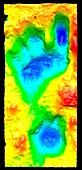 Fossilised human footprint,3d laser scan