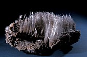 Salt crystals,Wieliczka Salt Mine