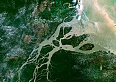 Amazon delta,satellite image