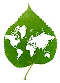 Environmentally friendly planet,artwork