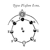 Lunar phases diagram,1659